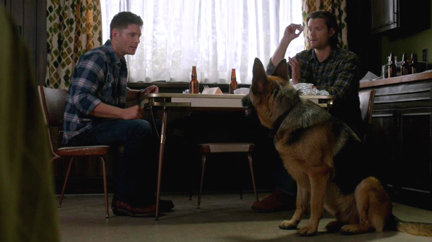 Sam throws a wrapper and Dean goes to fetch it.